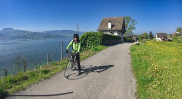 View from Feldbach over lake Zurich